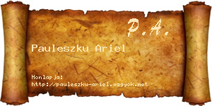 Pauleszku Ariel névjegykártya